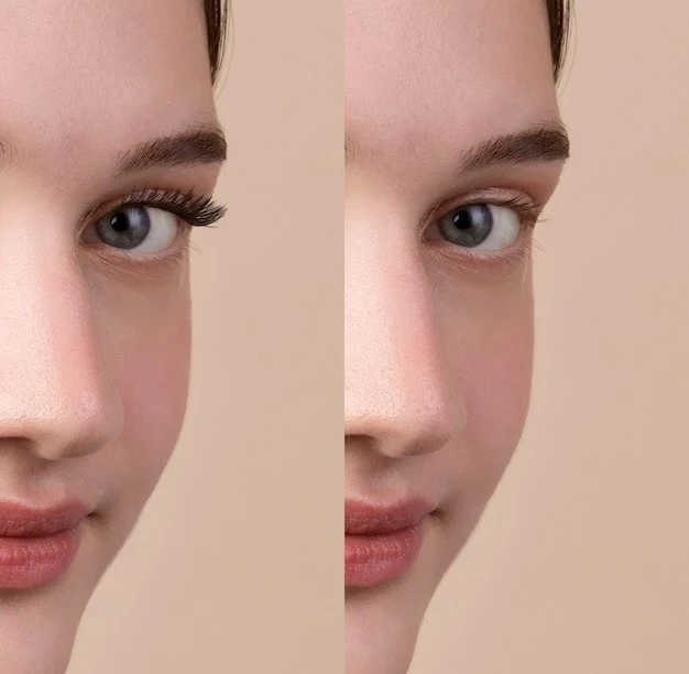 жизненный цикл ресниц