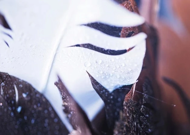 Наращивание ресниц с мокрым эффектом